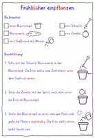 Vorschau - Arbeitsblätter - Frühblüher differenzierte Pflanzanleitung & Blühkalender - Seite 3