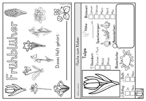 Vorschau - Arbeitsblätter - Alle Frühblüher Klasse 1-4 FLIPBOOK mit Steckbriefen - Seite 1