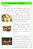 Vorschau - Arbeitsblätter - Frühblüher – Wissenskartei & Steckbriefe Klasse 3 und 4 - Seite 2