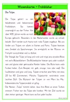 Vorschau - Arbeitsblätter - Frühblüher – Wissenskartei & Steckbriefe Klasse 3 und 4 - Seite 3