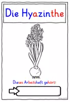 Vorschau - Arbeitsblätter - Die Hyazinthe Klasse 1-4 MATERIALPAKET - Seite 2
