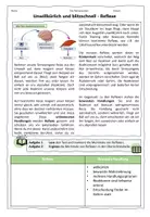 Vorschau - Stundenentwürfe - Reflex oder bewusste Handlung? // Nervensystem - Seite 1