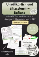 Vorschau - Stundenentwürfe - Reflex oder bewusste Handlung? // Nervensystem - Deckblatt