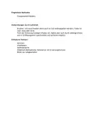 Vorschau - Arbeitsblätter - Mystery: Phänomene globaler Verstädterung ("Puniyas Wunsch") - Seite 2