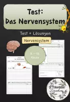 Vorschau - Test - Test Nervensystem // Funktion Gehirn, Rückenmark, Reiz-Reaktions-Schema - Deckblatt