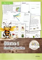 Vorschau - Spiele - Biene 1: Insekten und ihre Merkmale - Deckblatt