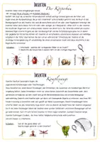 Vorschau - Spiele - Biene 1: Insekten und ihre Merkmale - Seite 2