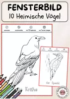 Vorschau - Arbeitsblätter - Fensterbild heimische Vögel zum Ausmalen - Deckblatt