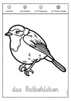 Vorschau - Arbeitsblätter - Fensterbild heimische Vögel zum Ausmalen - Seite 2