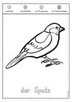 Vorschau - Arbeitsblätter - Fensterbild heimische Vögel zum Ausmalen - Seite 3