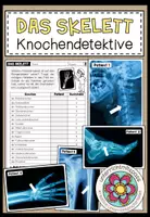 Vorschau - Arbeitsblätter - DAS SKELETT - KNOCHENDETEKTIVE - Deckblatt