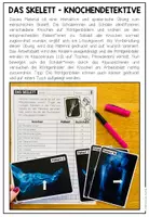 Vorschau - Arbeitsblätter - DAS SKELETT - KNOCHENDETEKTIVE - Seite 1