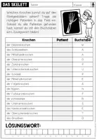 Vorschau - Arbeitsblätter - DAS SKELETT - KNOCHENDETEKTIVE - Seite 2