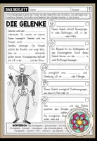 Vorschau - Arbeitsblätter - Gelenke des menschlichen Körpers – Skelett & Bewegungssystem | Arbeitsblatt 4.–5. Klasse - Deckblatt