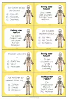 Vorschau - Stationenlernen - Skelett und Knochen – Quiz zum Wiederholen | Lernspiel 4.–5. Klasse - Seite 1