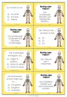 Vorschau - Stationenlernen - Skelett und Knochen – Quiz zum Wiederholen | Lernspiel 4.–5. Klasse - Seite 3