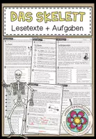 Vorschau - Arbeitsblätter - DAS SKELETT - Lesetexte + Aufgaben - Deckblatt
