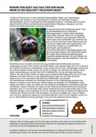 Vorschau - Arbeitsblätter - Arbeitsblatt Symbiose Gruppenarbeit Ökologie Biotische Faktoren Beziehungen - Seite 3