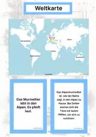Vorschau - Stationenlernen - Tiere aus Europa (Montessori Lernkarten) – Spielerisch entdecken & verstehen - Seite 3