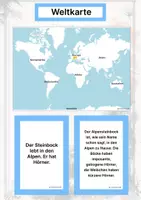 Vorschau - Arbeitsblätter - Der Alpensteinbock – Steckbrief inklusive – Tiere Europas – Montessori Lernkarten (Kontinente entdecken) - Seite 2