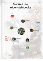 Vorschau - Arbeitsblätter - Der Alpensteinbock – Steckbrief inklusive – Tiere Europas – Montessori Lernkarten (Kontinente entdecken) - Seite 3