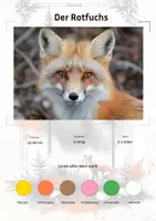 Vorschau - Stationenlernen - Der Rotfuchs – Steckbrief inklusive – Tiere Europas – Montessori Lernkarten (Kontinente entdecken) - Deckblatt