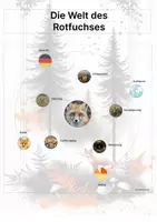 Vorschau - Stationenlernen - Der Rotfuchs – Steckbrief inklusive – Tiere Europas – Montessori Lernkarten (Kontinente entdecken) - Seite 3