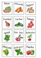 Vorschau - Arbeitsblätter - Komplettpaket / Gemüsebeet Planung / Schulgarten - Seite 1