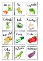 Vorschau - Arbeitsblätter - Komplettpaket / Gemüsebeet Planung / Schulgarten - Seite 2