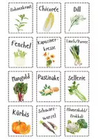 Vorschau - Arbeitsblätter - Komplettpaket / Gemüsebeet Planung / Schulgarten - Seite 3