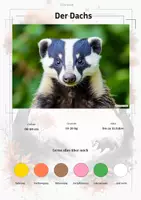 Vorschau - Stationenlernen - Waldtiere (Montessori Lernkarten) – Spielerisch entdecken & verstehen - Deckblatt