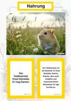 Vorschau - Arbeitsblätter - Der Feldhamster – Steckbrief inklusive – Tiere Europas – Montessori Lernkarten (Kontinente entdecken) - Seite 1
