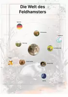 Vorschau - Arbeitsblätter - Der Feldhamster – Steckbrief inklusive – Tiere Europas – Montessori Lernkarten (Kontinente entdecken) - Seite 3