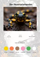 Vorschau - Stationenlernen - Der Feuersalamander – Steckbrief inklusive – Tiere Europas – Montessori Lernkarten (Kontinente entdecken) - Deckblatt