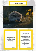 Vorschau - Arbeitsblätter - Der Igel – Steckbrief inklusive – Tiere Europas – Montessori Lernkarten (Kontinente entdecken) - Seite 1
