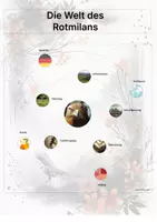 Vorschau - Stationenlernen - Der Rotmilan – Steckbrief inklusive – Tiere Europas – Montessori Lernkarten (Kontinente entdecken) - Seite 3