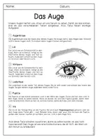 Vorschau - Arbeitsblätter - Das Auge und seine Bestandteile - Seite 1
