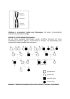 Vorschau - Arbeitsblätter - Klausur: Genetik, genetische Beratung, Stammbaumanalyse, Vererbung - Seite 1
