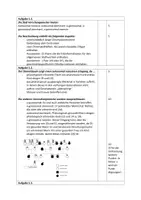 Vorschau - Arbeitsblätter - Klausur: Genetik, genetische Beratung, Stammbaumanalyse, Vererbung - Seite 2