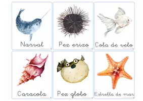 Vista previa - Refuerzo / NEE / Materiales de apoyo - ANIMALES MARINO - VOCABULARIO: Tarjetas 3 partes. Montessori. - página 3