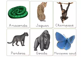 Vista previa - Refuerzo / NEE / Materiales de apoyo - ANIMALES DE LA SELVA - VOCABULARIO: Tarjetas 3 partes. Montessori. - página 3