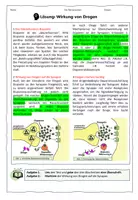 Vorschau - Arbeitsblätter - Die Wirkung von Drogen // Nervensystem - Seite 3