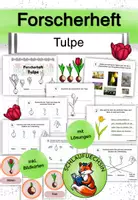 Vorschau - Arbeitsblätter - Forscherheft Tulpe Frühblüher Klasse 1 2 3 4 - Deckblatt