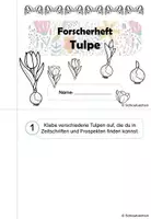 Vorschau - Arbeitsblätter - Forscherheft Tulpe Frühblüher Klasse 1 2 3 4 - Seite 2