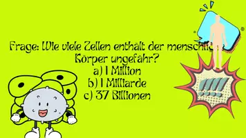 Vorschau - Präsentationen/Tafelbilder - Quiztime Der Mensch - Seite 3