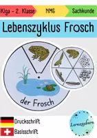 Vorschau - Mal- und Bastelvorlagen - Drehscheibe Frosch (Lebenszyklus) - Deckblatt