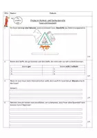 Vorschau - Stundenentwürfe - HSU-Proben für Klassen 3 und 4 (Lehrplan Bayern) - Seite 3