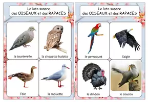 Aperçu - Jeux - Loto-sonore-des-chants-oiseaux et rapaces - Page 1