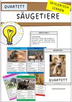 Vorschau - Spiele - Säugetier Quartett (Wirbeltiere, Spiel) - Deckblatt