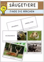 Vorschau - Spiele - Säugetiere (Zuordnungskärtchen, Wirbeltiere) - Deckblatt